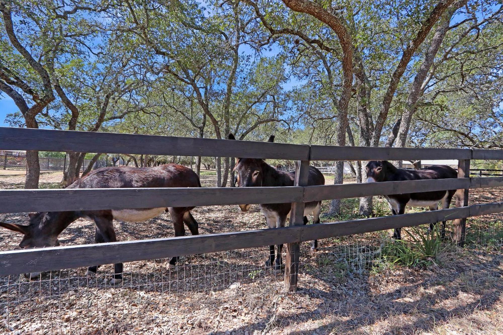 Red Donkey Cottage Wimberley Exterior photo